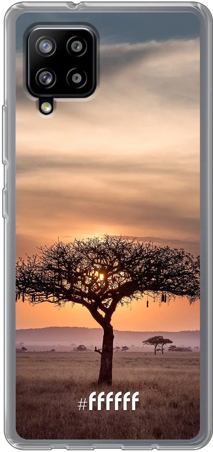 Tanzania Galaxy A42