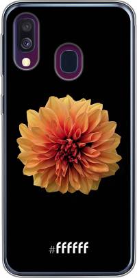 Butterscotch Blossom Galaxy A50