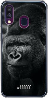 Gorilla Galaxy A50