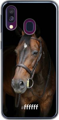 Horse Galaxy A50