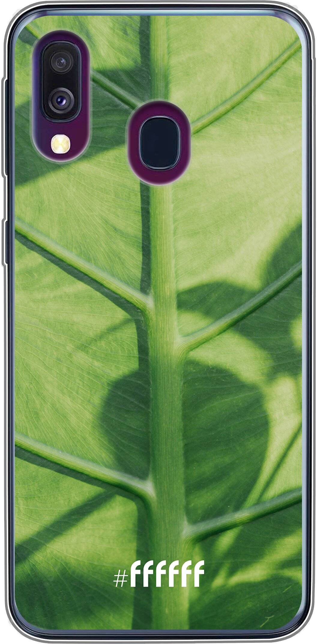 Leaves Macro Galaxy A50