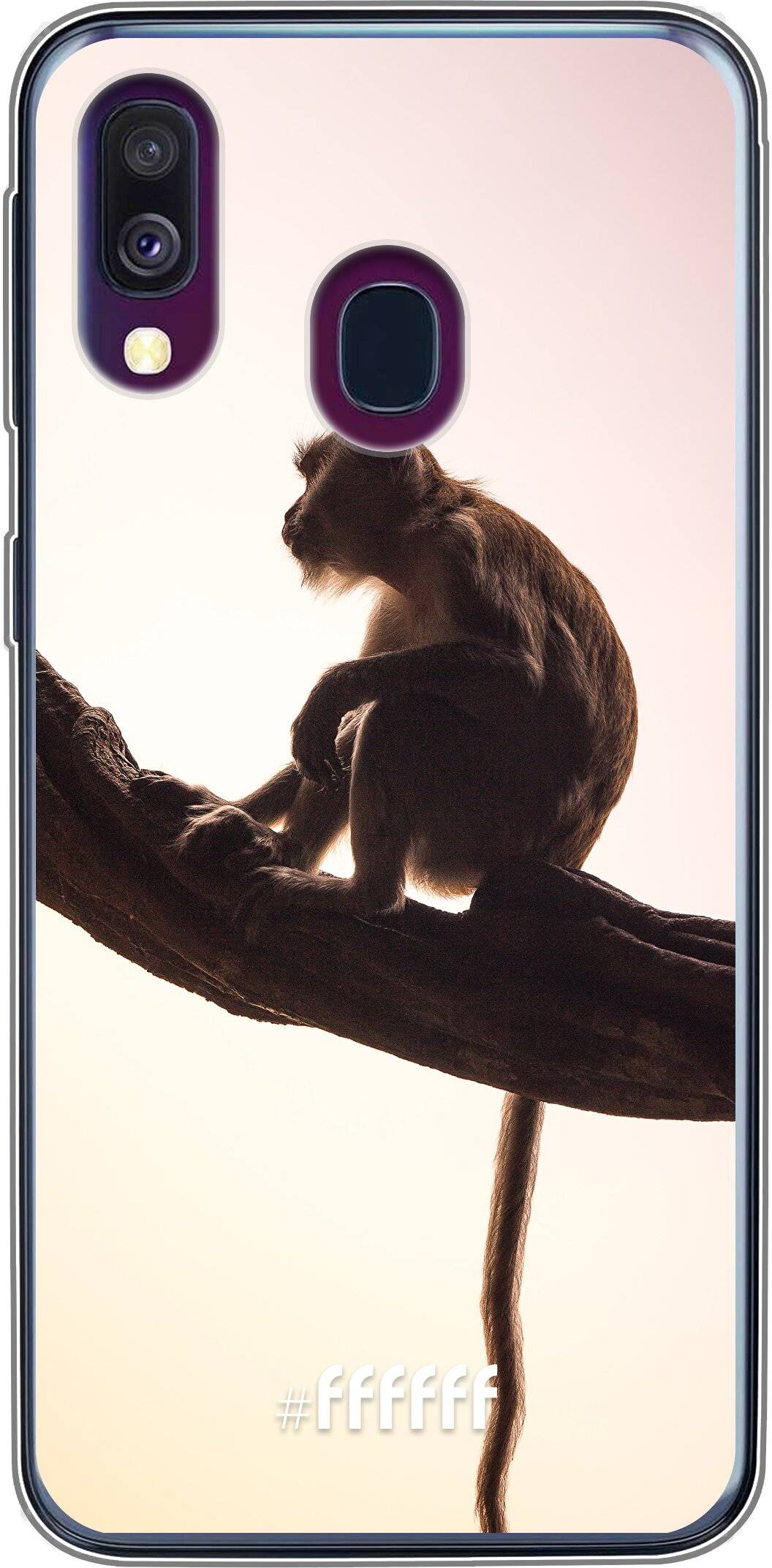 Macaque Galaxy A50