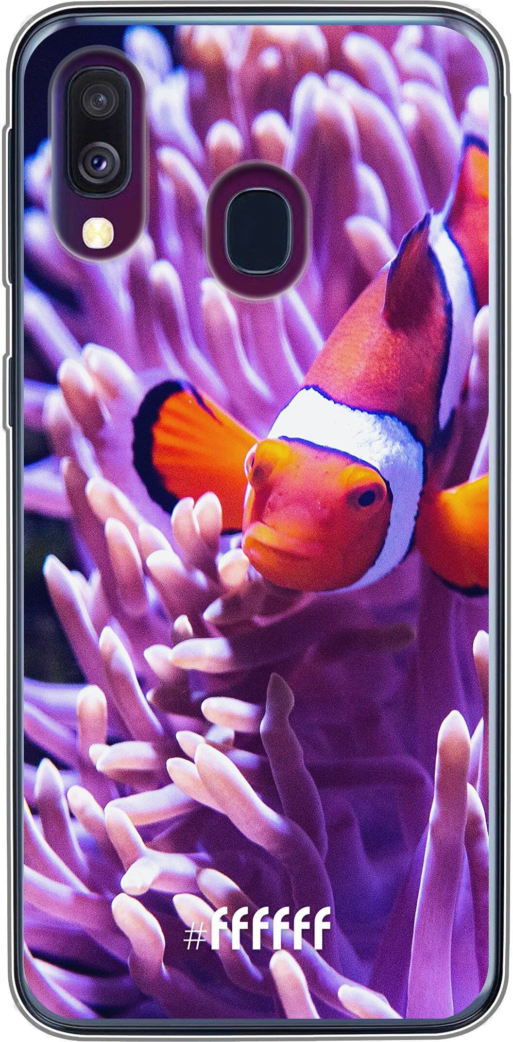 Nemo Galaxy A40