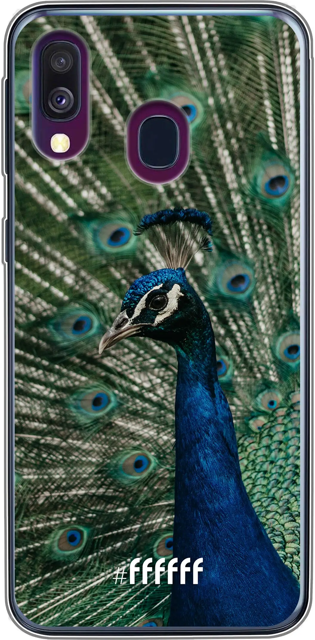 Peacock Galaxy A40