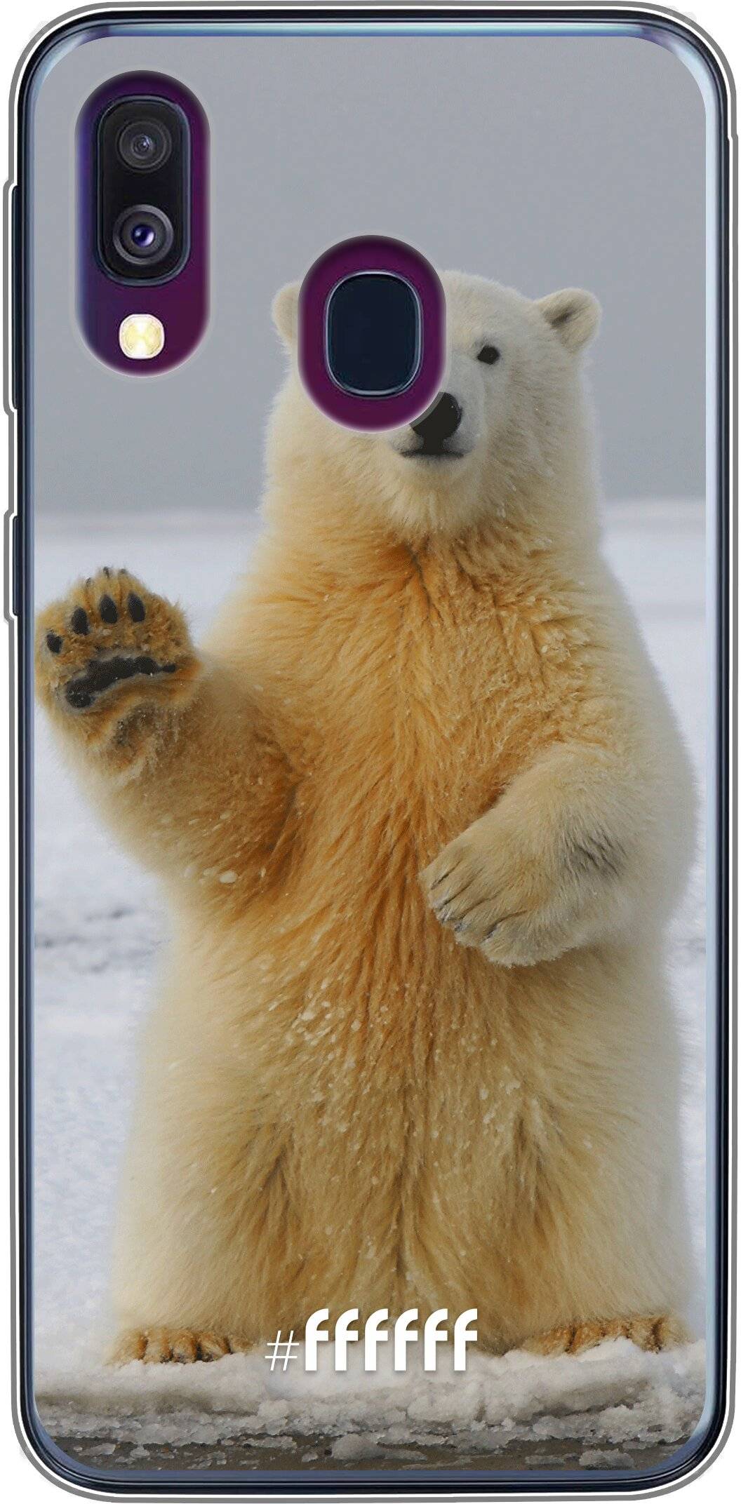 Polar Bear Galaxy A40