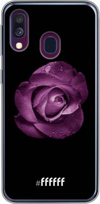 Purple Rose Galaxy A40
