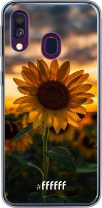 Sunset Sunflower Galaxy A40
