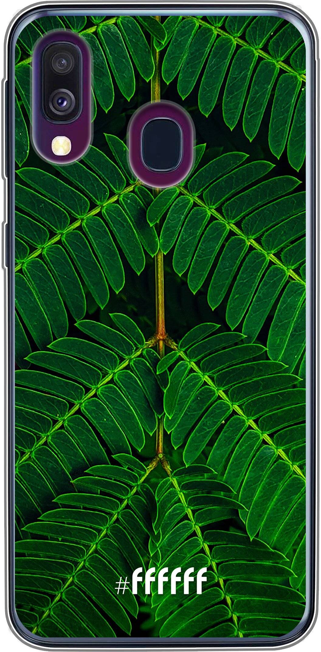 Symmetric Plants Galaxy A50