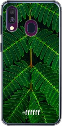 Symmetric Plants Galaxy A50