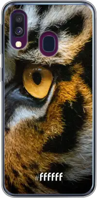 Tiger Galaxy A40