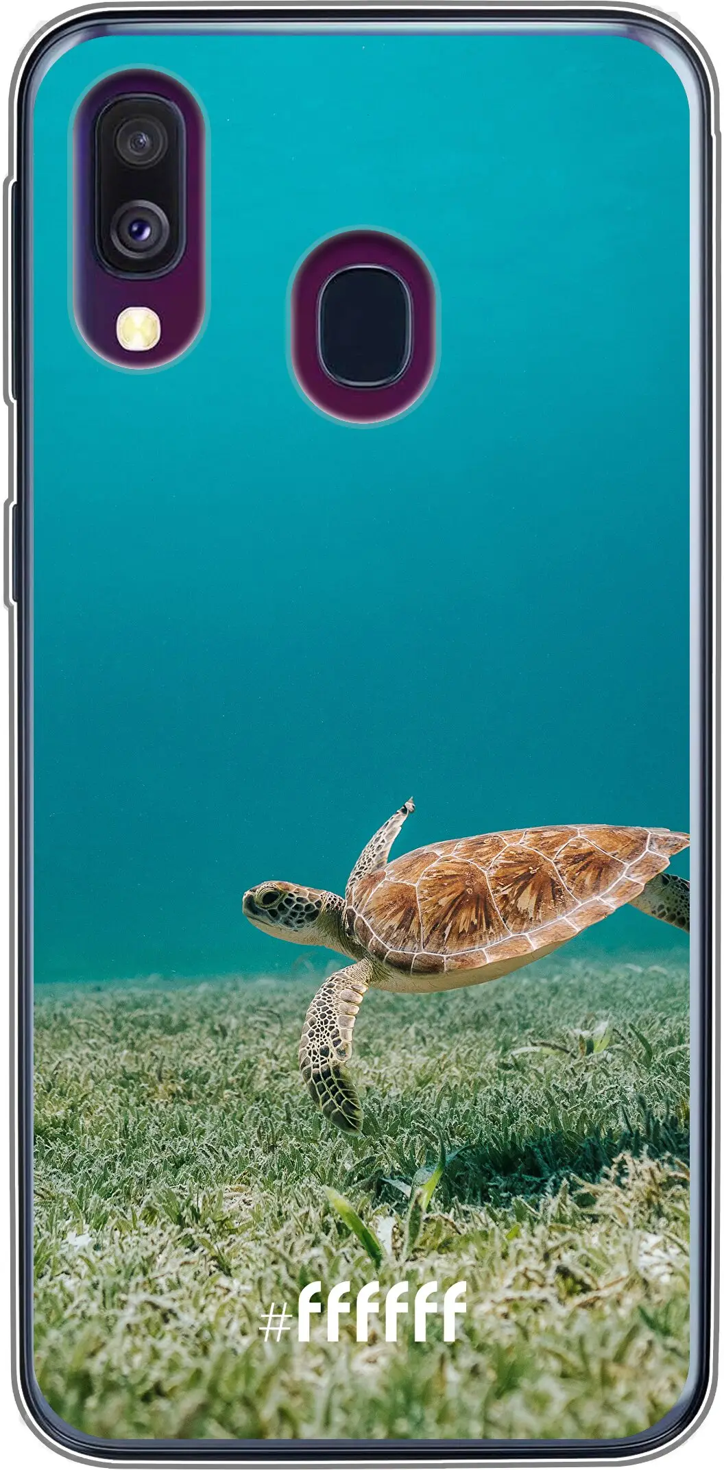 Turtle Galaxy A40