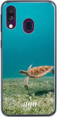 Turtle Galaxy A50