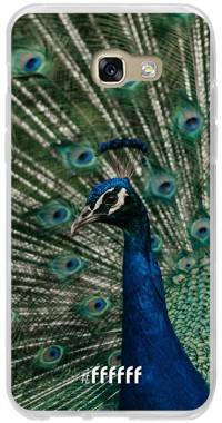 Peacock Galaxy A5 (2017)