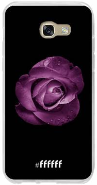 Purple Rose Galaxy A5 (2017)