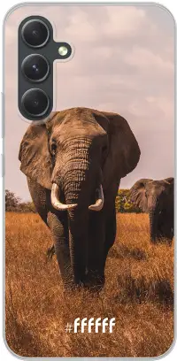 Elephants Galaxy A54 5G