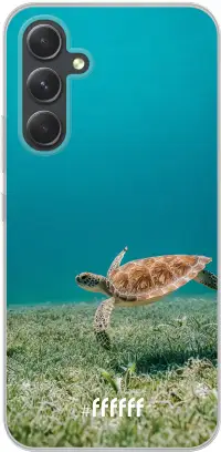 Turtle Galaxy A54 5G