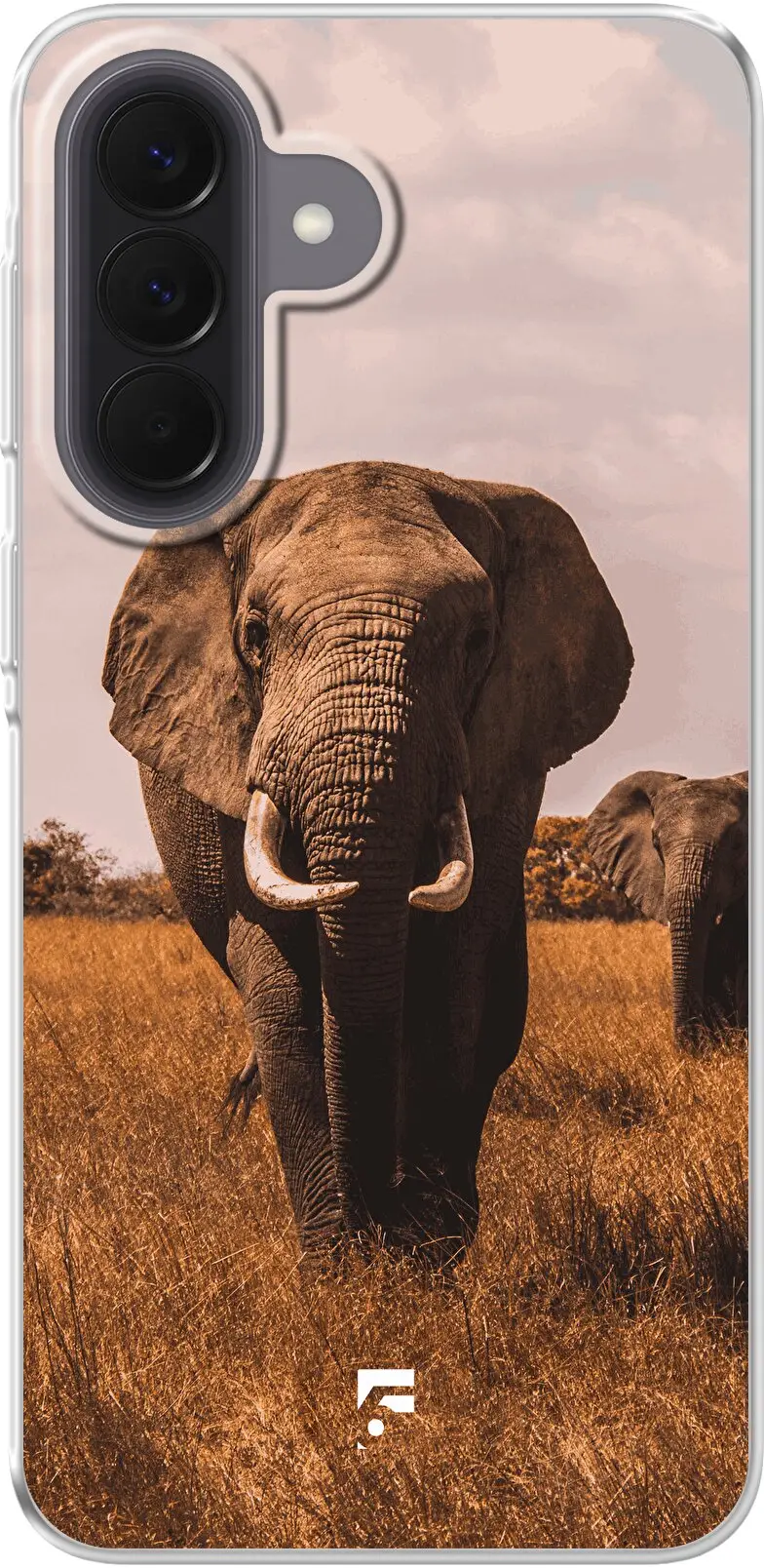 Elephants Galaxy A57
