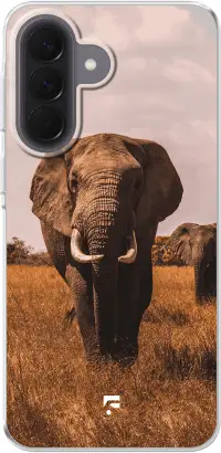 Elephants Galaxy A57