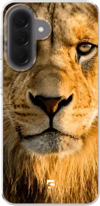 Leo Galaxy A57
