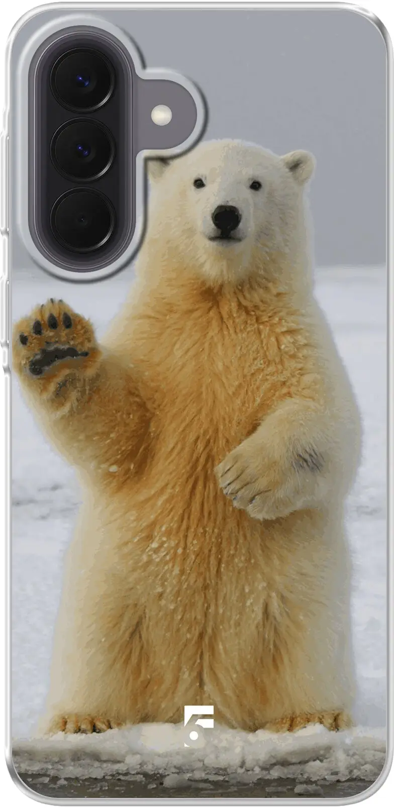 Polar Bear Galaxy A57