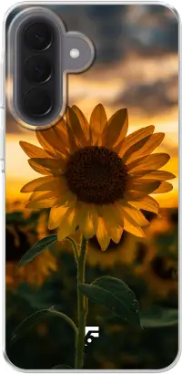 Sunset Sunflower Galaxy A57