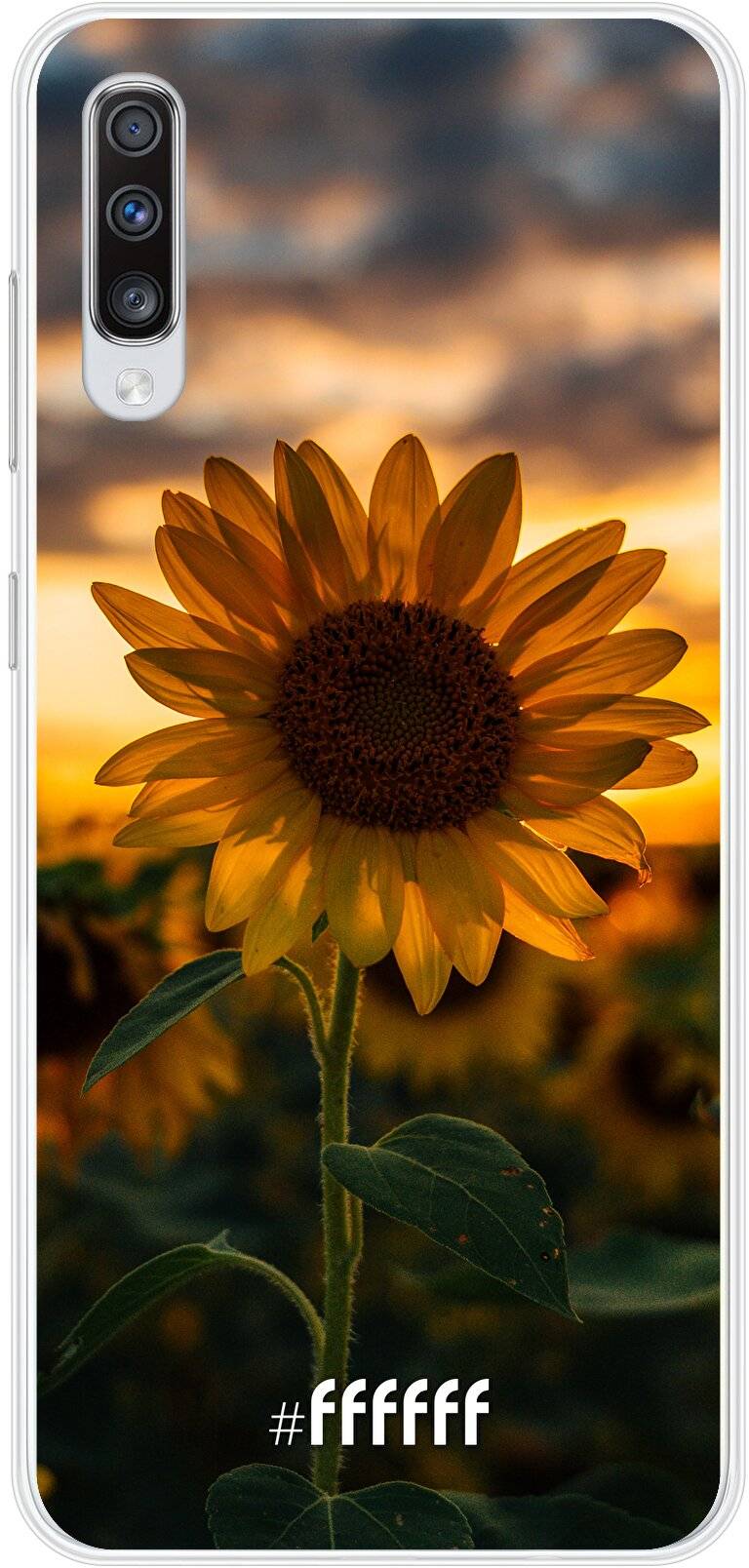 Sunset Sunflower Galaxy A70