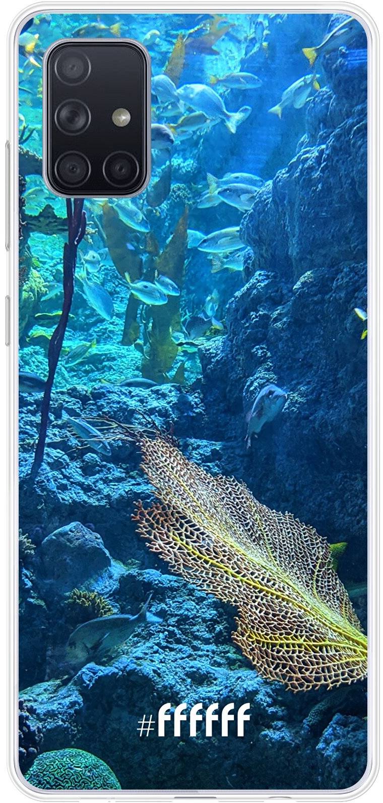 Coral Reef Galaxy A71