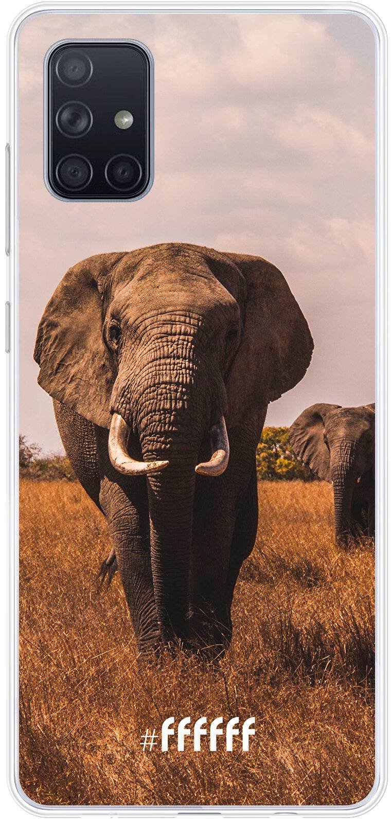 Elephants Galaxy A71