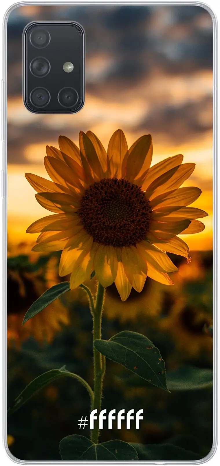 Sunset Sunflower Galaxy A71 5G