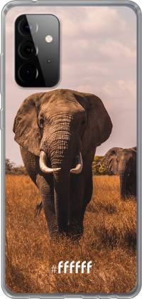 Elephants Galaxy A72