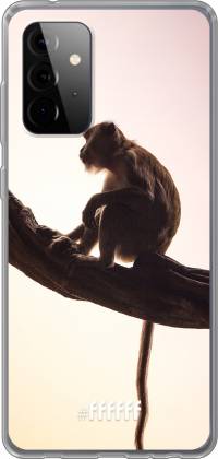 Macaque Galaxy A72