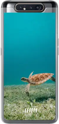 Turtle Galaxy A80