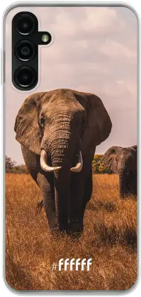 Elephants Galaxy A14 / Galaxy A14 5G