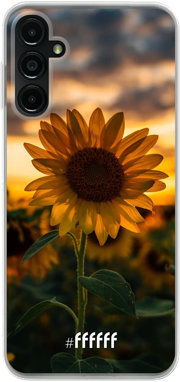 Sunset Sunflower Galaxy A14 / Galaxy A14 5G