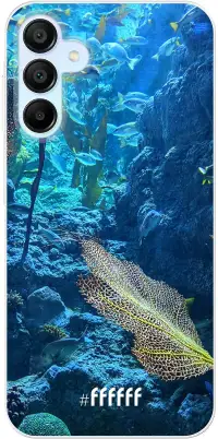 Coral Reef Galaxy A15