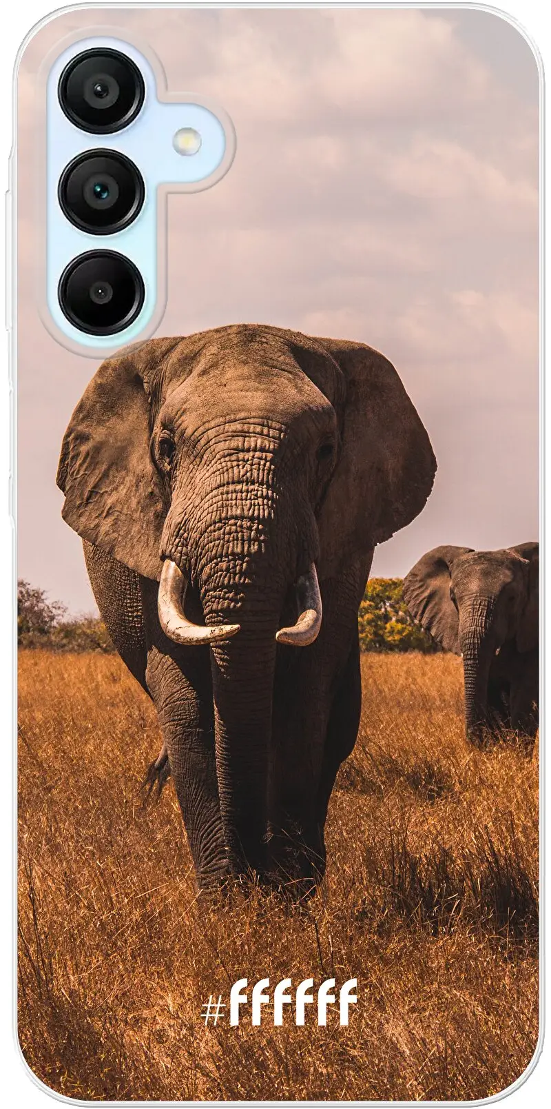 Elephants Galaxy A15