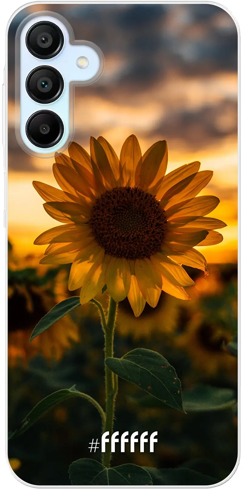 Sunset Sunflower Galaxy A15