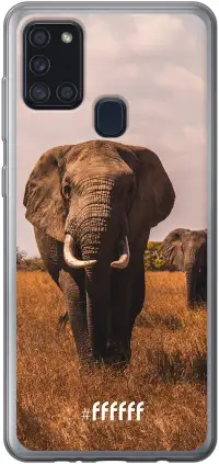 Elephants Galaxy A21s