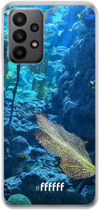 Coral Reef Galaxy A23 5G