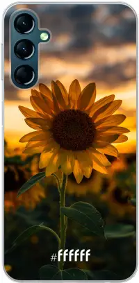 Sunset Sunflower Galaxy A24 4G