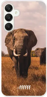 Elephants Galaxy A25