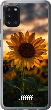 Sunset Sunflower Galaxy A31