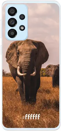 Elephants Galaxy A33 5G