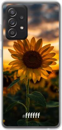 Sunset Sunflower Galaxy A52