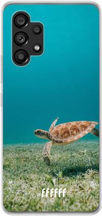 Turtle Galaxy A53 5G