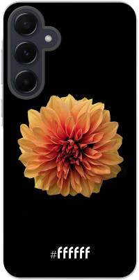 Butterscotch Blossom Galaxy A55