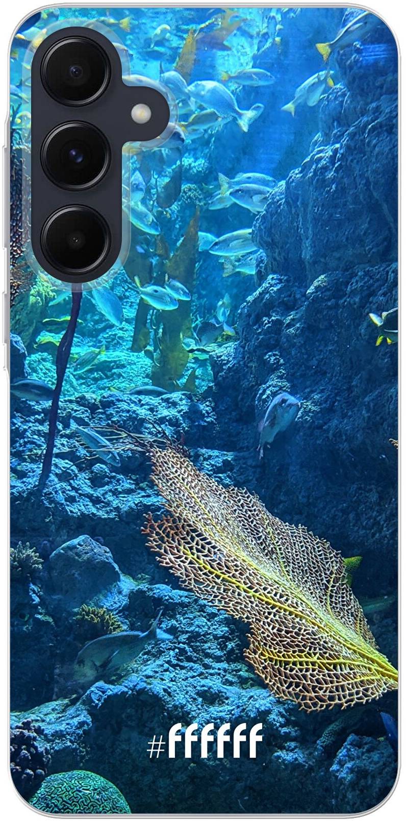 Coral Reef Galaxy A55