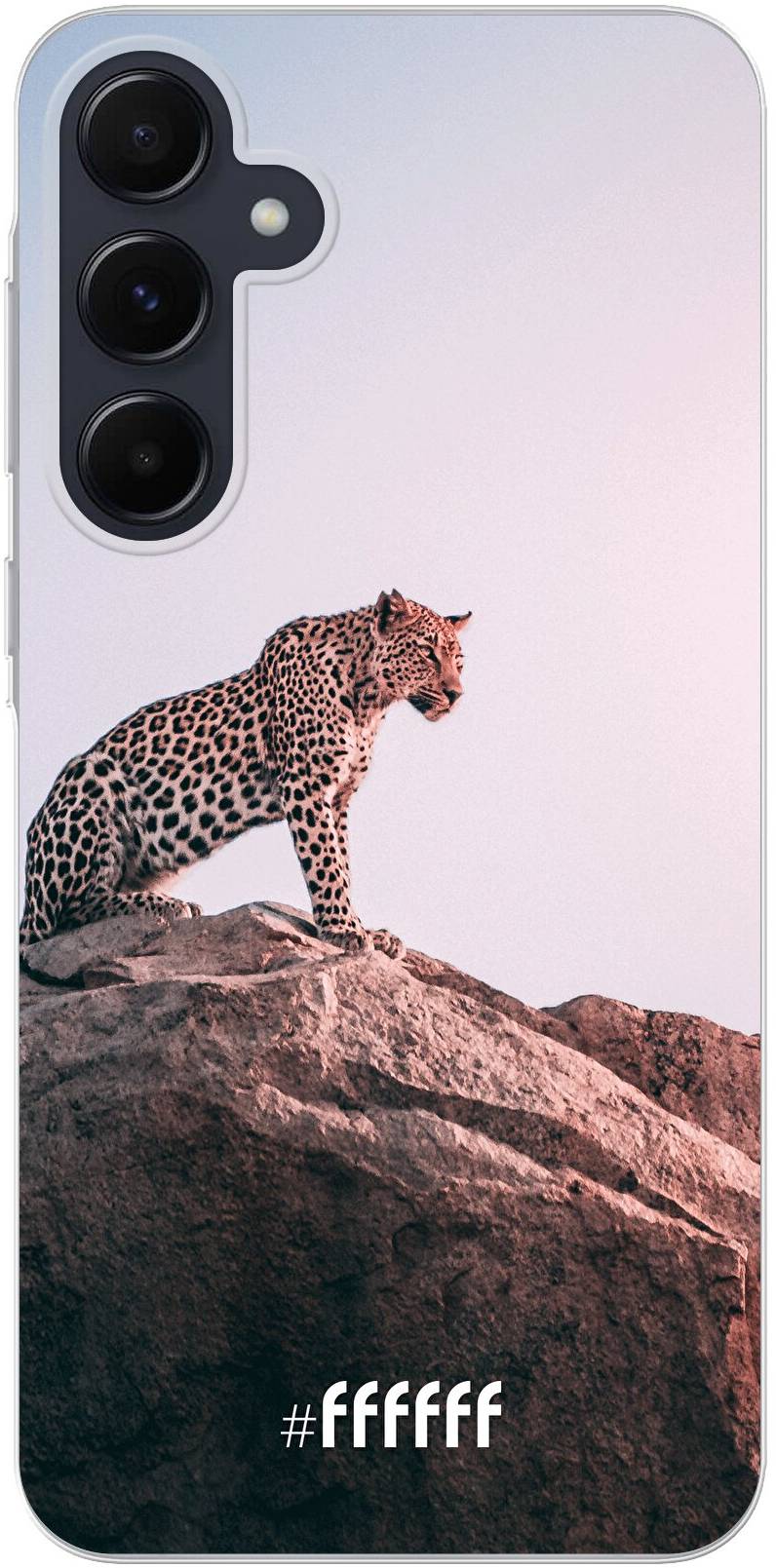 Leopard Galaxy A55