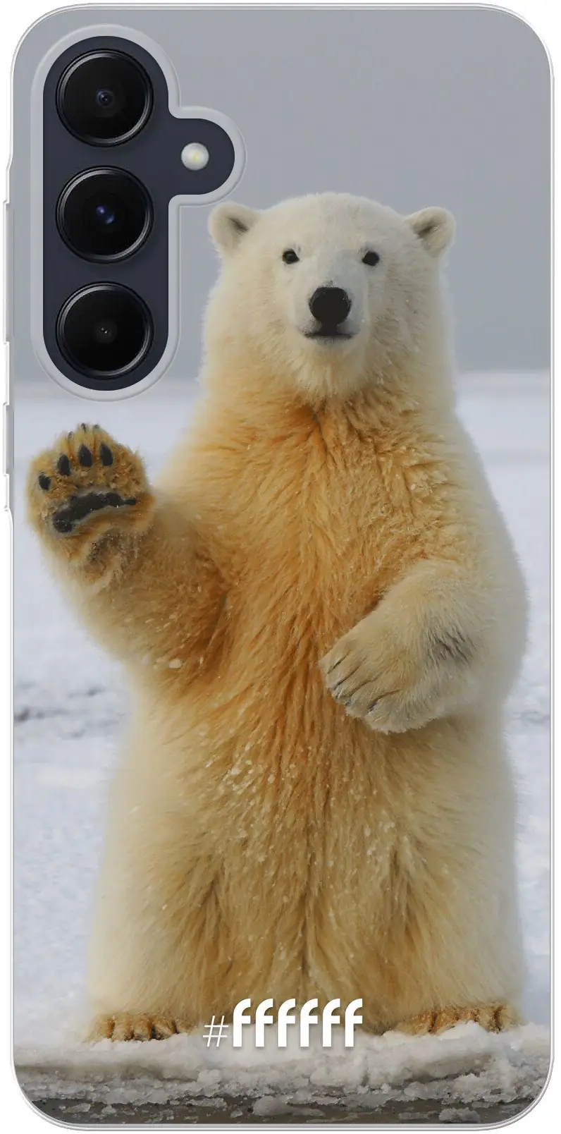 Polar Bear Galaxy A55