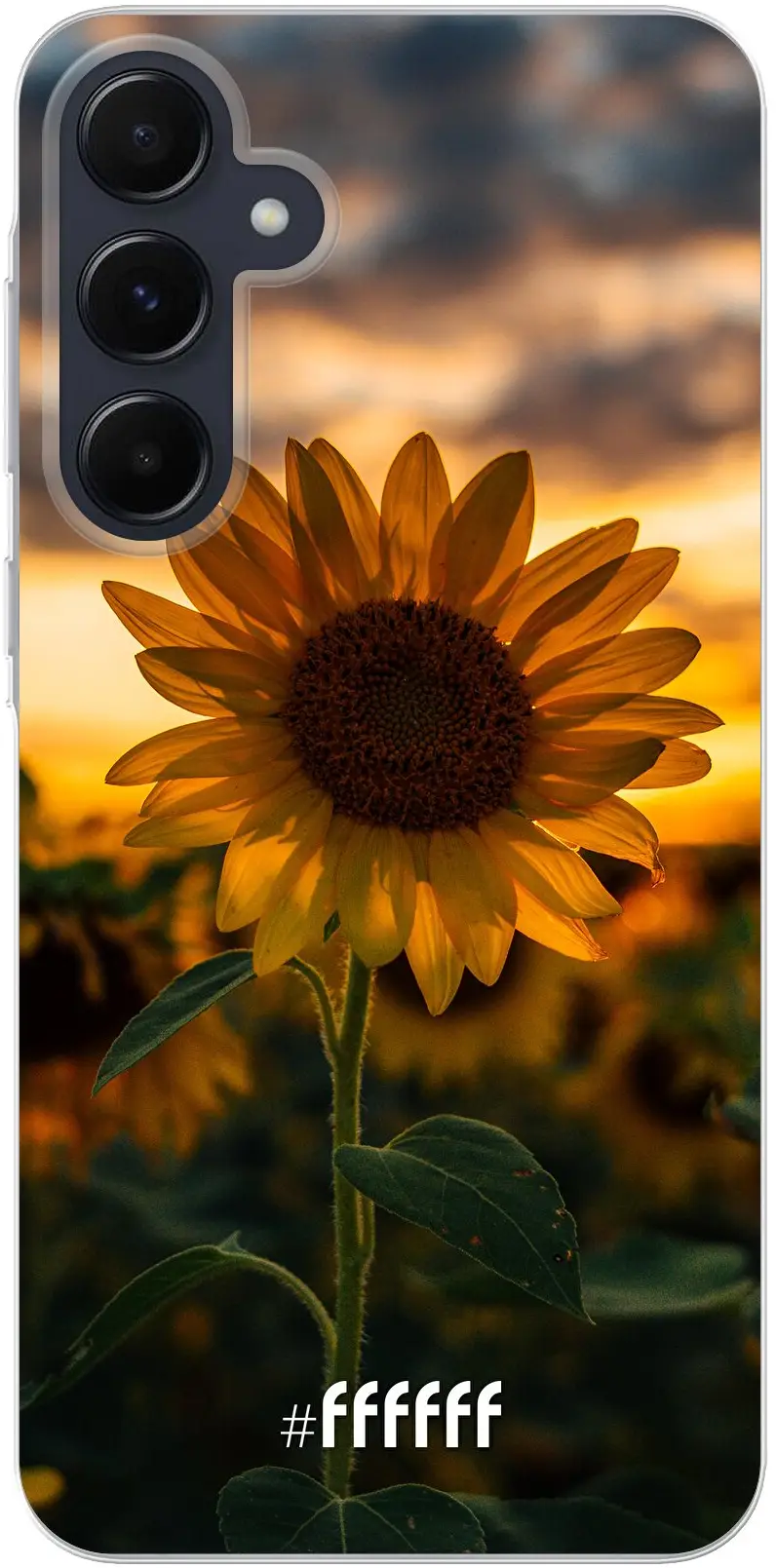 Sunset Sunflower Galaxy A55